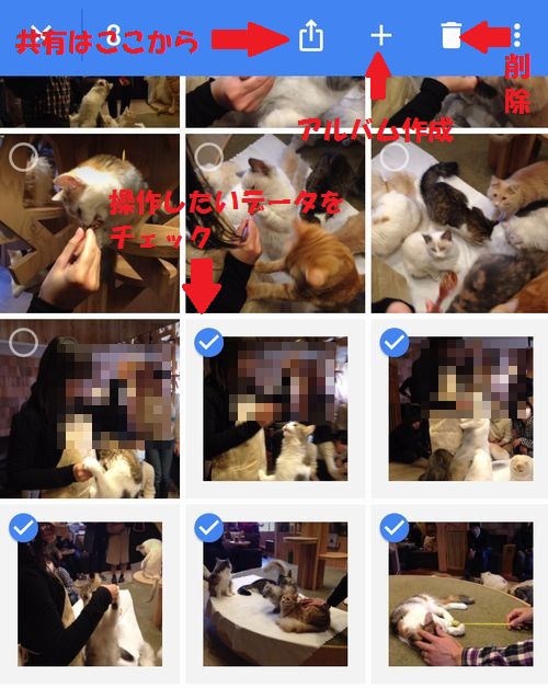 f:id:chahachi:20170204175256j:plain