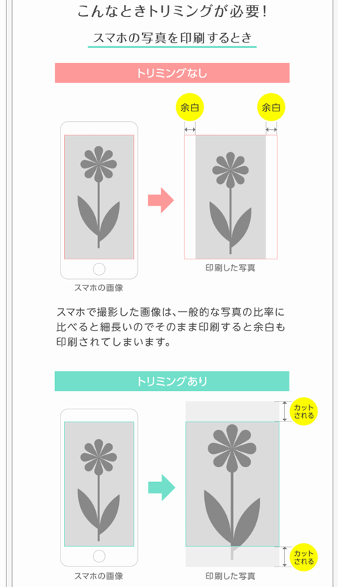 f:id:chahachi:20170219235754p:plain