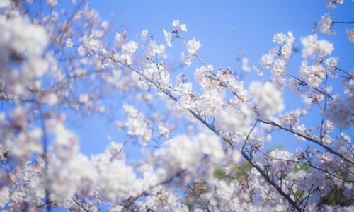 4月、新生活のスタートによせて